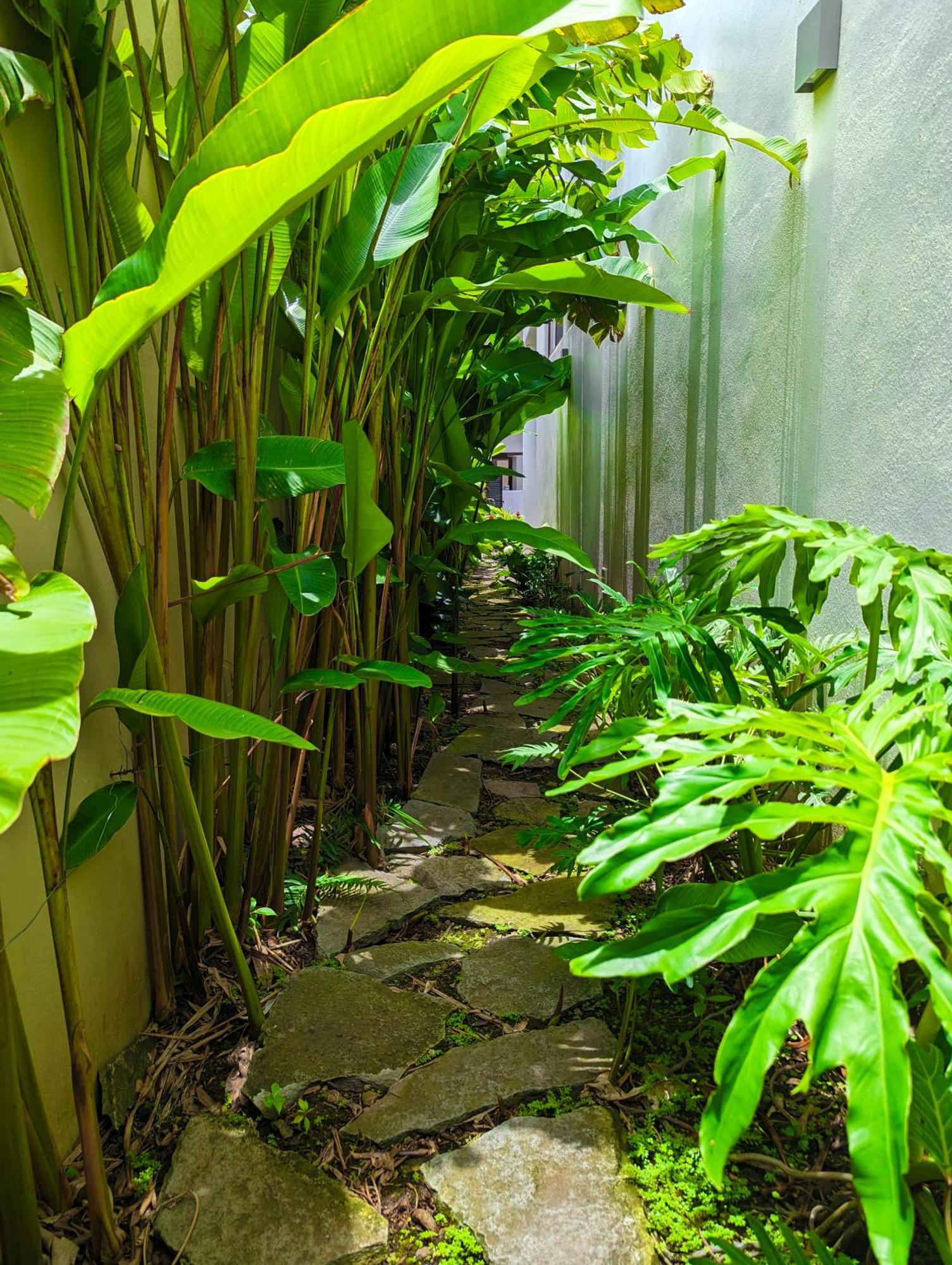 Los Gallos - Departamento Planta Baja Lo de Marcos Ngoại thất bức ảnh