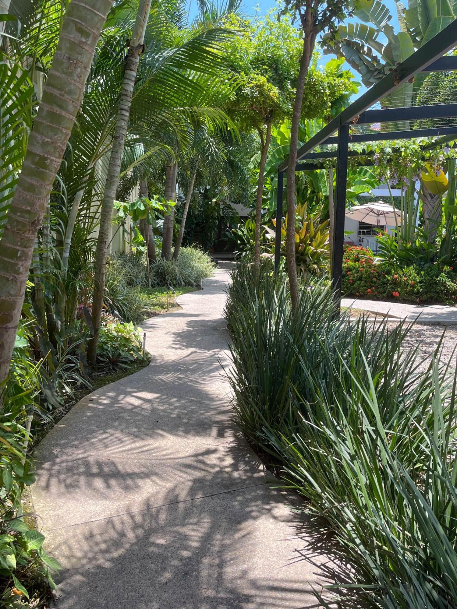 Los Gallos - Departamento Planta Baja Lo de Marcos Ngoại thất bức ảnh